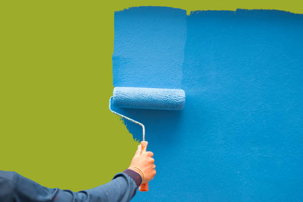 Reliable Hiawatha, KS Mold Removal Solutions